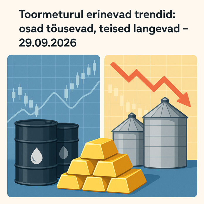 Toormeturul erinevad trendid: osad tõusevad, teised langevad – 29.09.2026